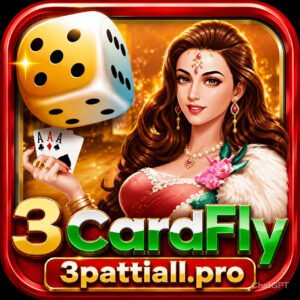3 Card Fly icon image